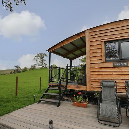 Villa Wild Acre Llangadog Esterno foto