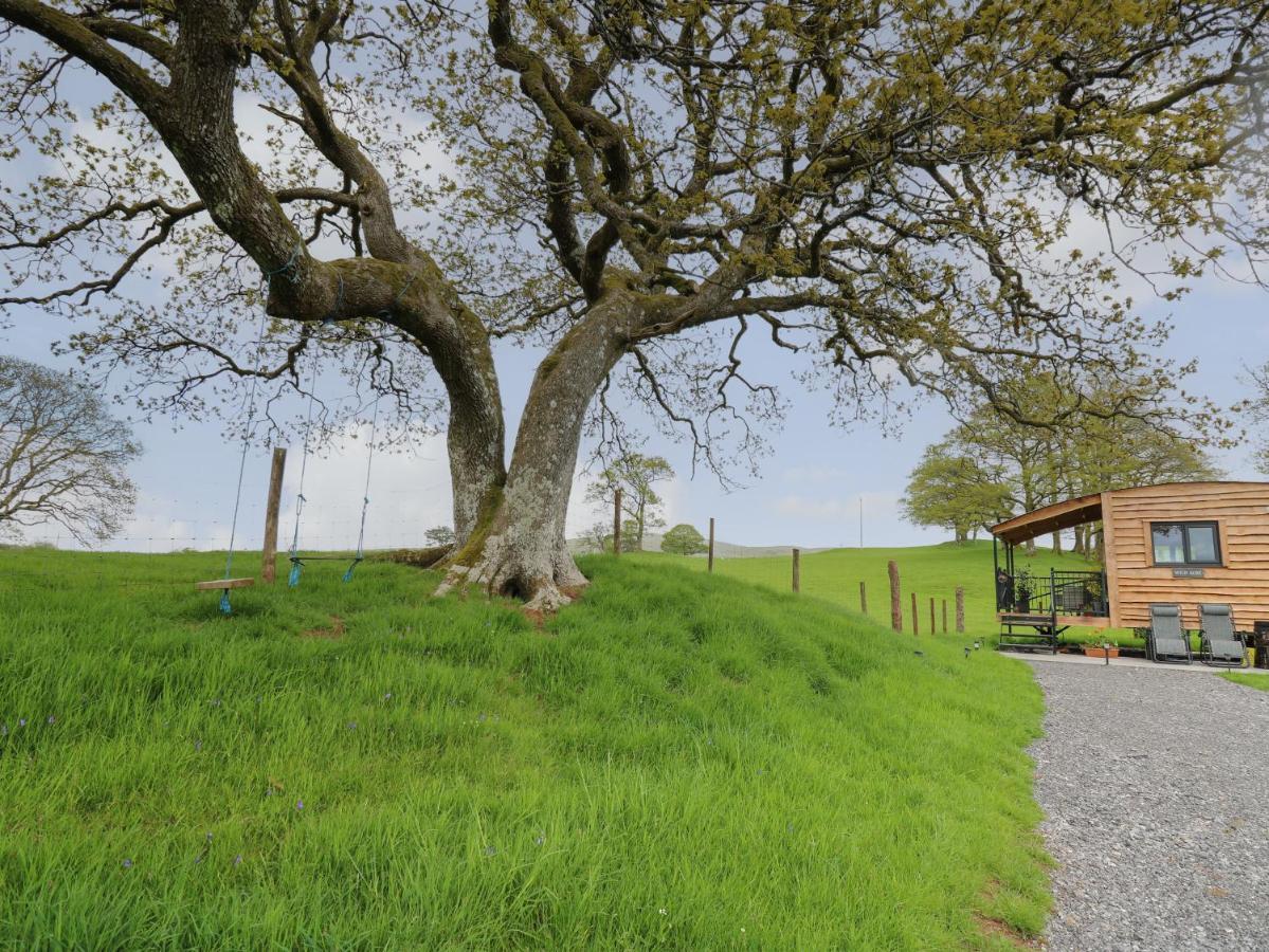 Villa Wild Acre Llangadog Esterno foto